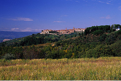 八重神子被丘丘人抓去繁殖后代：狐裔囚牢，古老仪式中的血脉传承谜题-1