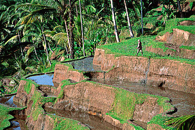 黄小婷被民工玩成淫娃：废铁重生记，从街头代步到赛道传奇的终极改装之旅-5