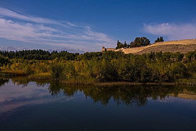 小黄猫文化传媒公司人口：编辑部狂飙开放世界，竞速收集趣味冒险之旅