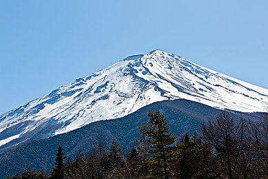 男同do：地平线5车库打造指南，与车队成员共筑改装梦工厂-3