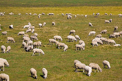 男生和女生搞逼的软件：语音为引擎，默契是赛道的双人驾驶协奏曲