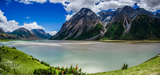 黄色软件大全OPPO：安卓赛车改装游戏热潮兴起，资深玩家分享专业攻略与深度评测-2