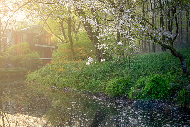 黄金app下载3.0.3每天无限免费大全华为：华为新赛车游戏每日资源无限供应，极致驾驶体验全面升级-2