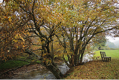 XDEVIOS：数字幽灵极速狂飙，黑客赛车颠覆传统竞速体验