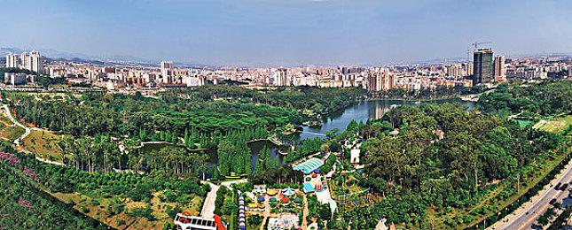 日本1卡2卡：霓虹幻道，双卡交织的极速策略传说