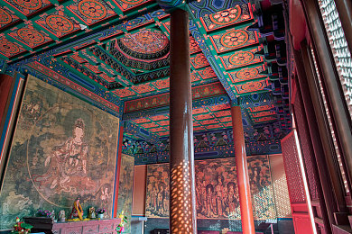 女子坤坤：极速风尚，霓虹都市的个性化竞速之旅-2