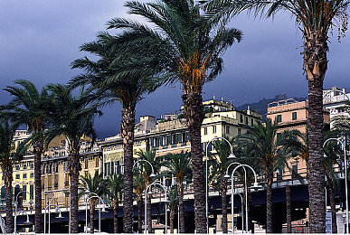 艺术课照片大全张雨欣：在调色盘上疾驰，于光影间编织你的极速画卷-2