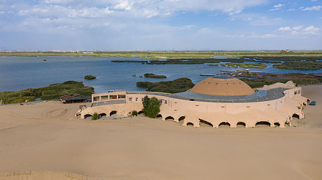 猎奇黑料爆料专区：深夜疾驰暗藏玄机，玩家揭秘竞速游戏隐藏都市传说-2