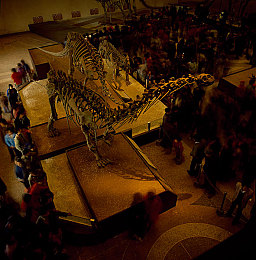 性别隐自由成熟性别经典：霓虹座驾与无界化身，驶向自定义的夜城身份-2