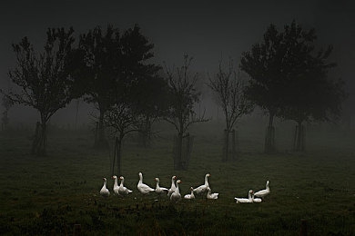 妇一区二区三区:极速之境,从海岸晨曦到巅峰竞速的巾帼征程-2