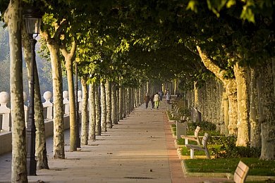 免费黄色软:地平线5火山冲刺攻略,三步解锁稀有金属漆奖励-1