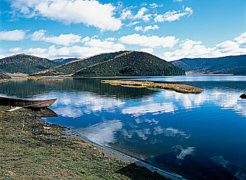 榴莲APP污：霓虹雨夜，街头机械诗篇，极限改装竞速传说