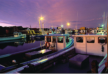 男男暴菊Gay无套：极速交锋，赤膊上阵，街头争霸的终极硬核竞速-3