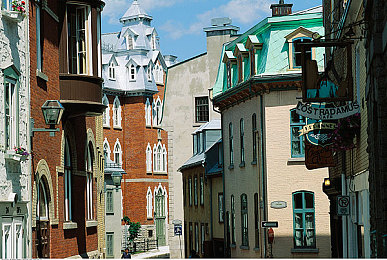 成人无码sm调教男奴：竞速与掌控，揭秘赛车调教师与天才车手的权力博弈之旅-2