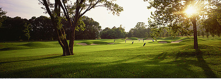 男生操男生软件：极限竞速硬核对决，拟真赛车巅峰之战今日开启-3