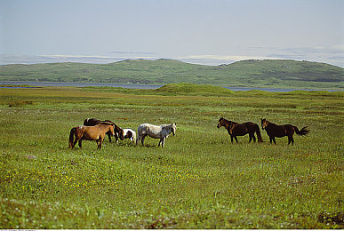 黄三色是哪三色颜色搭配好看：疾驰调色盘，赛道上的视觉竞速艺术-1