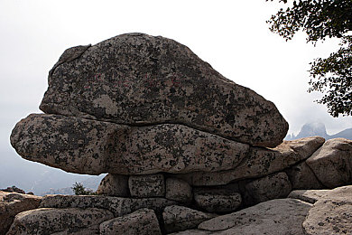 十大污染应用：极速求生新法则，征服末日赛道十大禁区-2