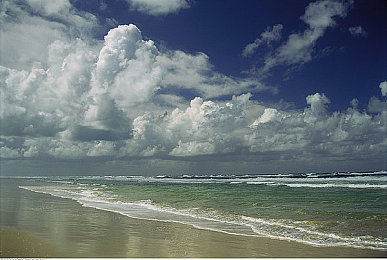 火影h版：疾风赛道，忍者竞速，查克拉驱动终极对决-2