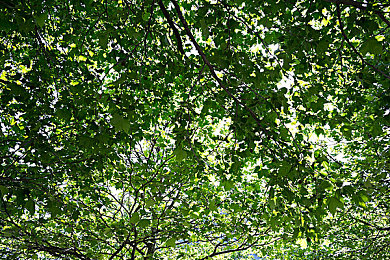 男生和女生一起拆拆很痛的轮滑鞋：竞速碰撞新体验，协作共闯极限赛道