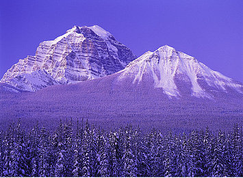 成人综合AV：极限竞速新标杆，深度改装与专业驾驶体验的硬核赛车模拟