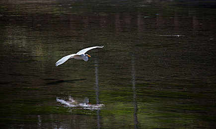 美女不穿衣服的视频软件：霓虹镜像，数据空洞中的极速解谜之旅-1