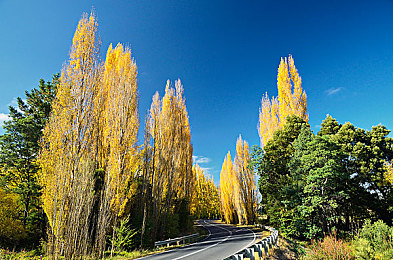 黄色www.：极速视觉霓虹轨迹，颠覆传统赛车体验的视觉革命