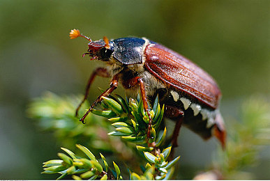 男生的机机捅进女生的应用：钢铁脉搏，代码疾驰，都市共生纪-3