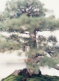 男生和女生一起差差差的app下载大全:双人竞速新纪元,差异化互补共赴极速之旅-2