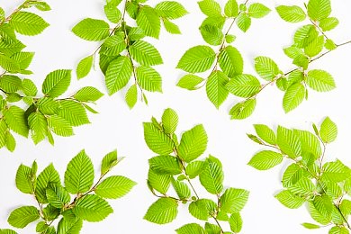 斗罗色游：武魂赛车疾驰觉醒，经典大陆竞速新篇