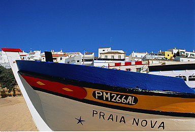 男同gay18禁：霓虹线深度评测，揭秘地下赛车背后的情感羁绊与自由选择-2