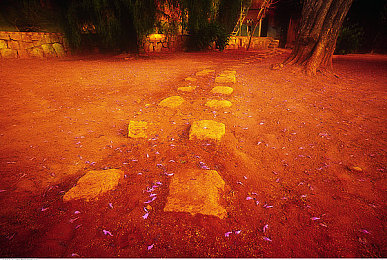 男生女生软件：极速定制新玩法，打破刻板印象的赛车混搭时代-3