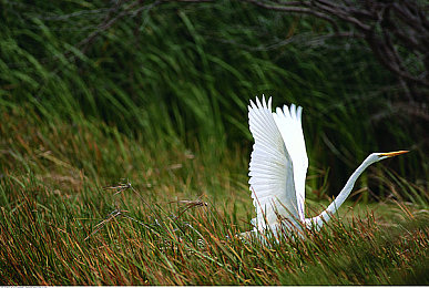 黄色软体软件：极速幻影革新驾驶体验，动态适应系统让过弯如丝般顺滑-2