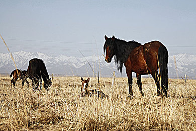 天天干天天日：极速都市，改装进化，街头王者的无尽征途-3
