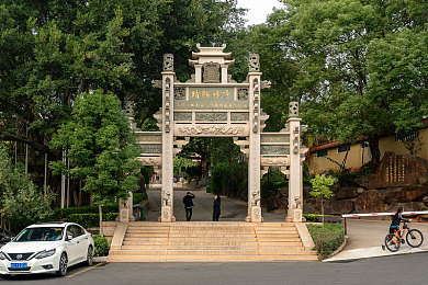 17c爆料网：极限车手隐藏赛车全解析，获取攻略与专业评论一览