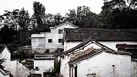 亚洲毛茸茸：萌系兽人竞速新作今日上线，都市赛道与拟态改装引爆狂飙热潮