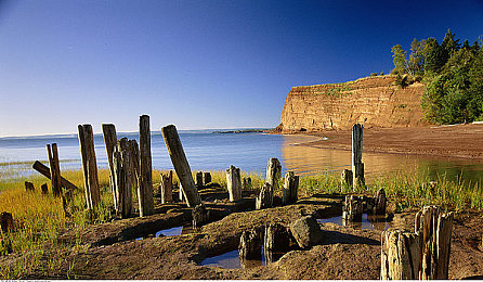 罗宾帮乔巴度过青春期：当引擎学会成长，改装承载友谊的竞速之旅-2