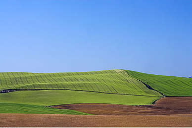 不良黄色禁用软件:竞速游戏视觉干扰成焦点,最新设置方案提升驾驶沉浸感-2