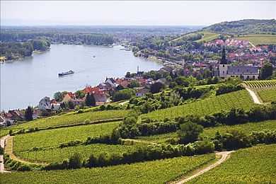 富二代绿软分享：极限竞速地平线5，打造顶级车库与竞速艺术全攻略-1