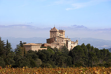 非洲成人AV：狂野大陆，越野之心，极限改装与生存竞速之旅-2