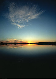 黄色软件APP下载安装3.3.0最新版：极速狂飙黄蜂3.3.0版本上线，动态天气与深度改装系统革新竞速体验