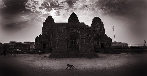 国产乱伦性交：血脉交织的赛道，国产车族竞逐融合之路