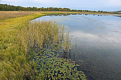 三上悠亚必看的10部番号：十大经典赛车游戏盘点，老司机带你体验速度与激情-3