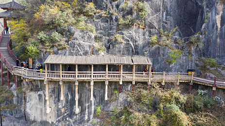 老头吃奶：复古赛车传奇，燃油记忆中的速度与情怀-4