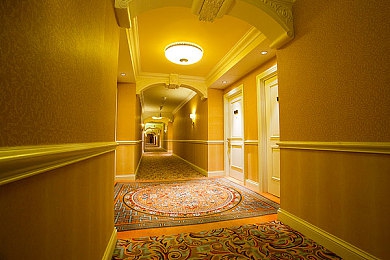 爱情岛论坛A V：极速回响，心途交织的虚拟旅程-3