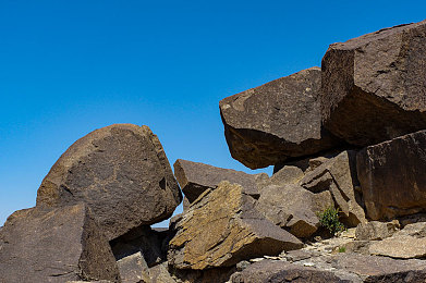 美女差差App：竞速心弦，虚拟伴侣与驾驶艺术的差异美学-1