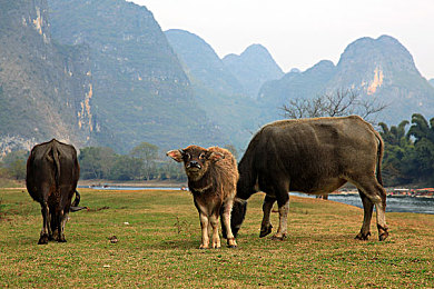 不良正能量：暗夜狂飙，你的每一次选择都在重塑地下世界的规则-2