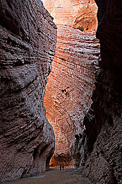 黄网站app下载安装免费版2023：2023街头赛车新作深度体验，改装攻略与安全畅玩指南-3