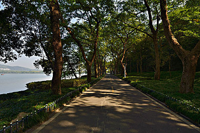 黄色软件免费下载2023：极速幻影，霓虹赛道上的自由狂想曲-2