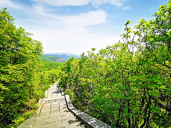 拔萝卜不盖被子：泥泞轰鸣，裸露机械的农耕竞速诗篇-3