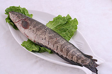 男生女生一起差差差的App：双心共驭，歧路同驰的极速协奏曲-4